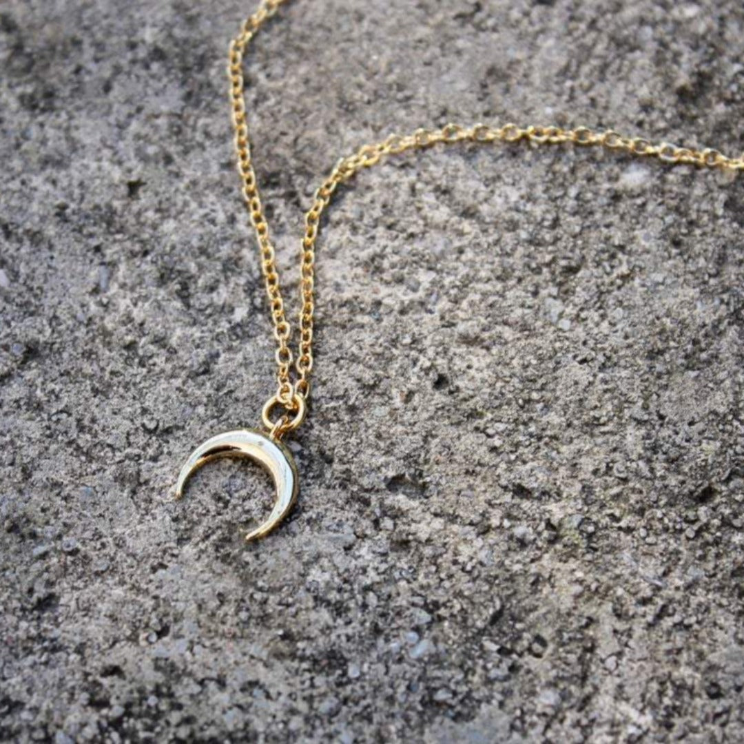Little Horn Necklace