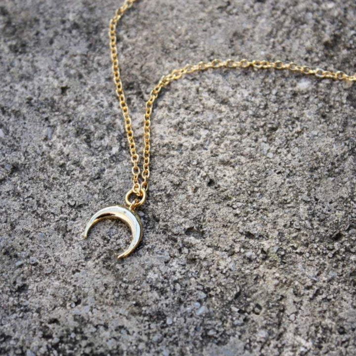 Little Horn Necklace